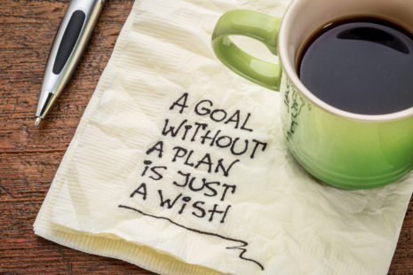 Goal Without Plan is a Wish